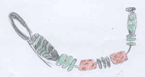 Drawing of beads