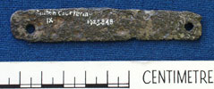 Iron spokeshave blade (AN1923.848)