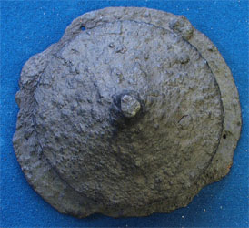 Sheild boss from Frilford