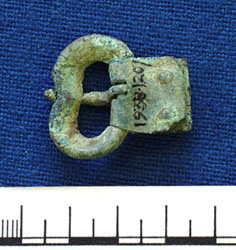 Back of top buckle