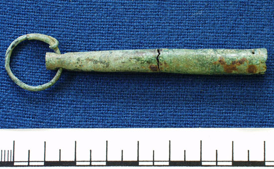 Cosmetic brush from Cassington (AN194.155)