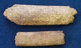 Pieces of animal bone from Sutton Courtenay (AN1968.1472)
